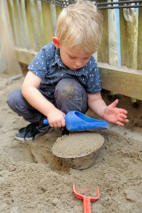 Zooming Zebras at play